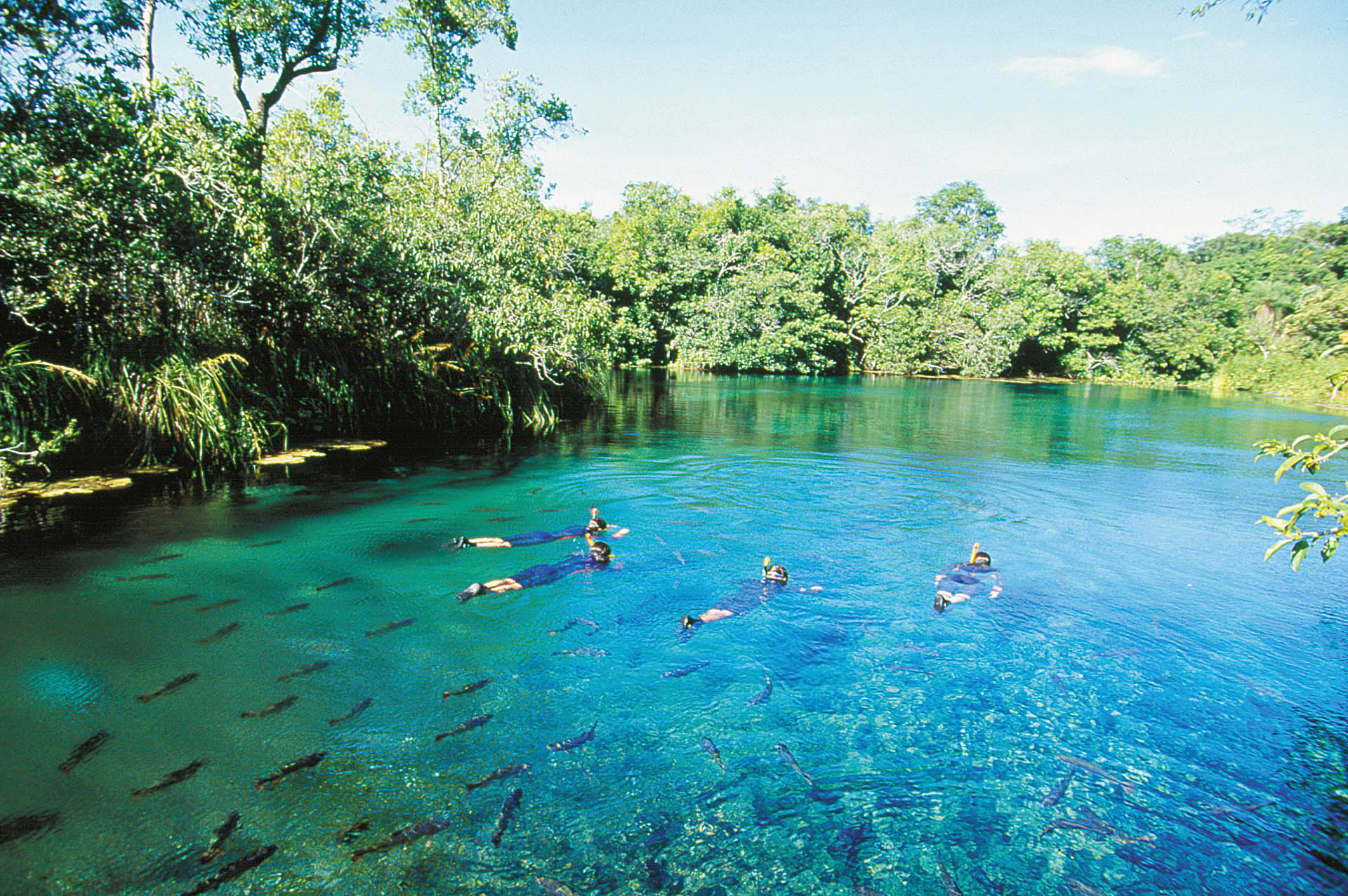 bonito-near-pantanal-matuet