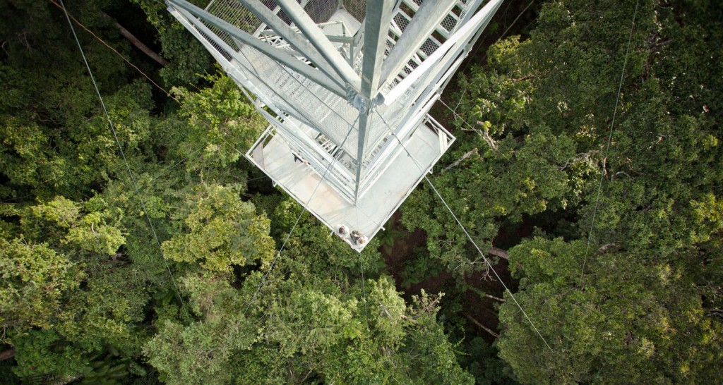 Canopy tower from above II