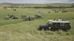 East Africa; Game Viewing
