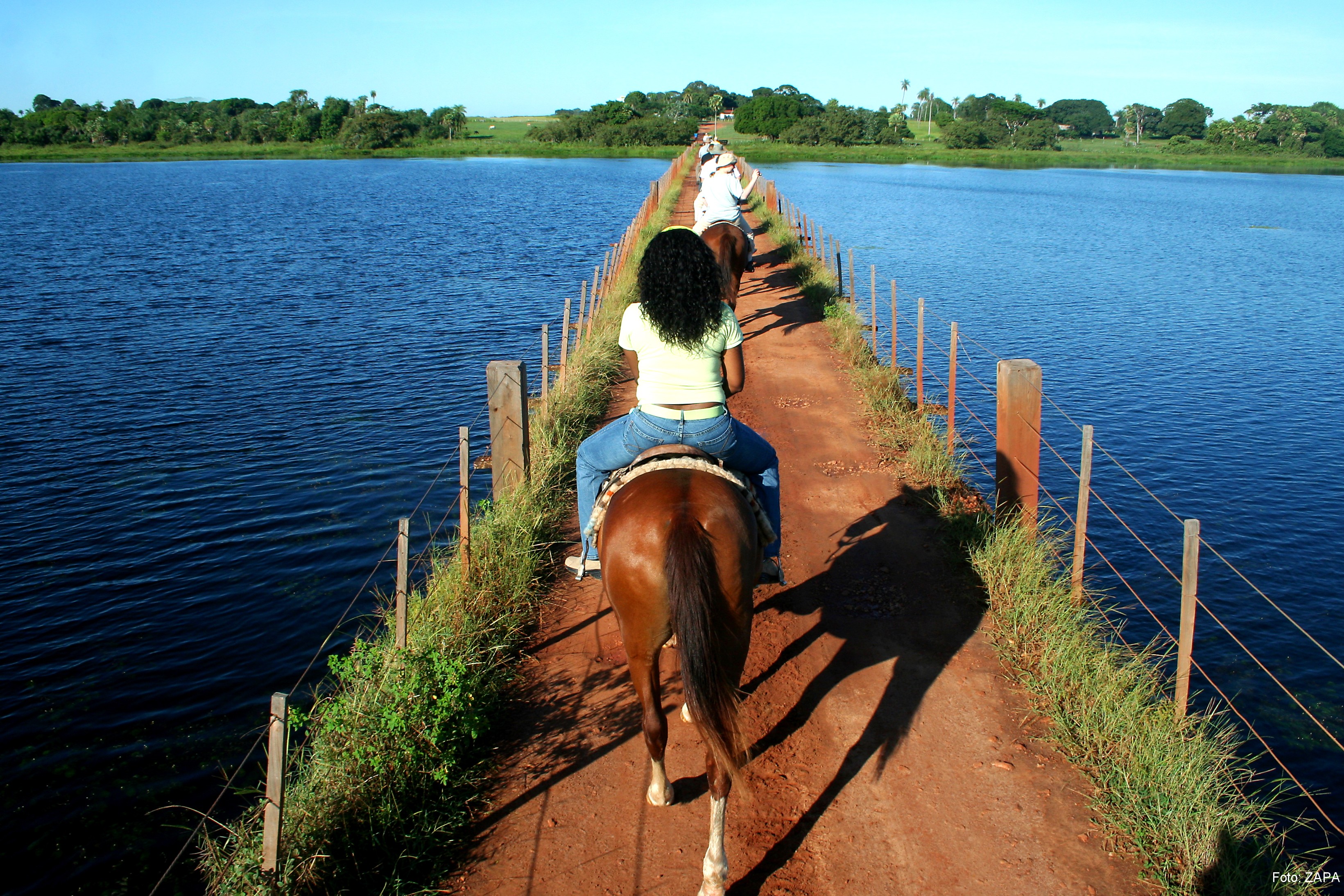 A cavalo, no Pantanal