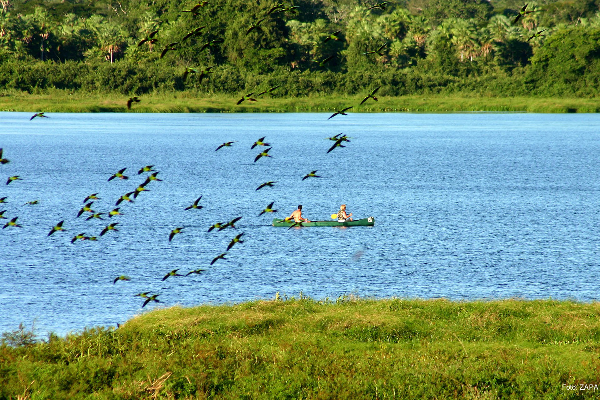 Pantanal Tourism, Brazil - Matueté